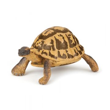 Papo Wild Life tortue d'hermann 50264