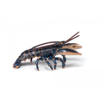 Papo Wild Life Homard 56052