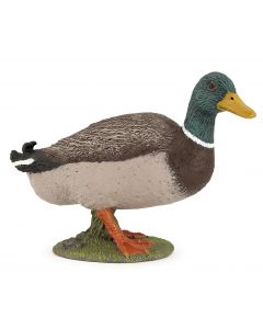 Papo Farm Life Canard colvert 51155